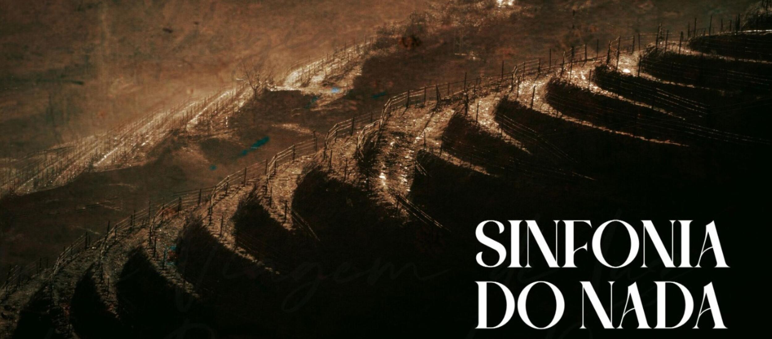 “Sinfonia do Nada”: o Douro, em silêncio e luz, pelas lentes de Lúcia Duarte 